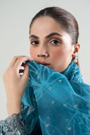 3 Pc Embroidered Karandi Suit
