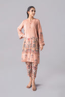2 Pc Printed Georgette Suit